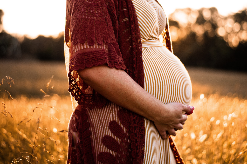 vegan pregnancy