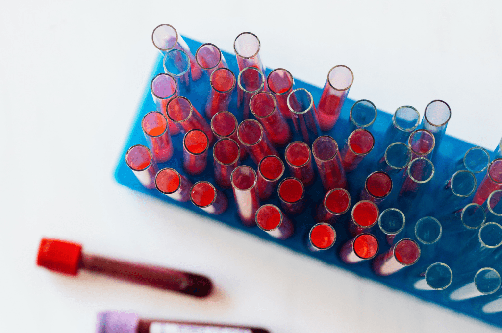 vegan blood test