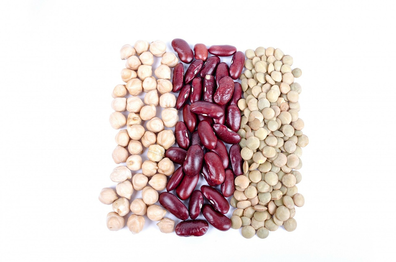 agriculture, assortment, background-315511.jpg